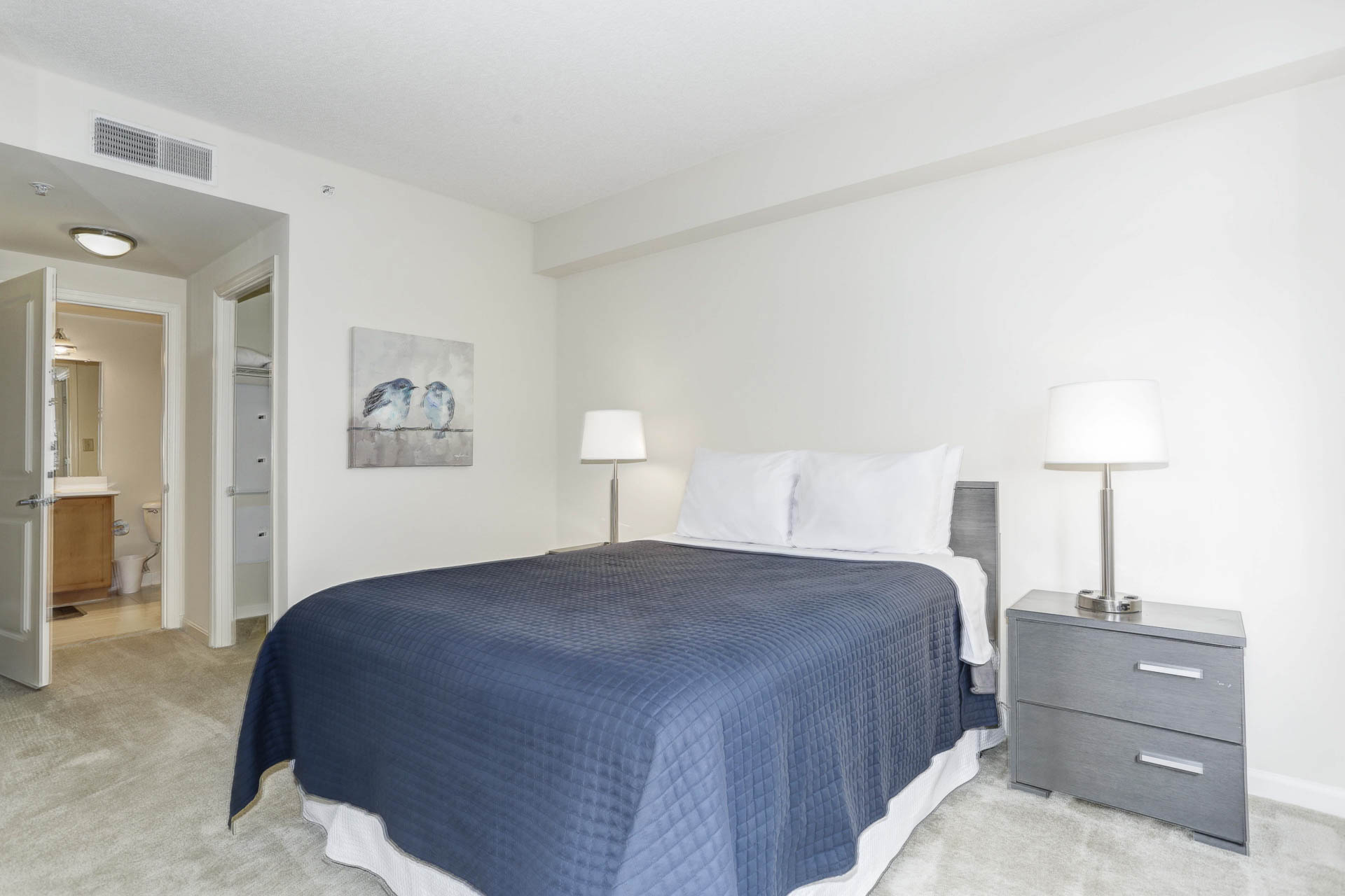 7_Furnished_Apartment_Portico_Silver_Spring_Queen_ (6)